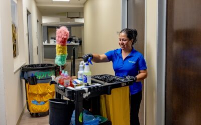 What You Need to Know About Cleaning Services in Reno/Tahoe